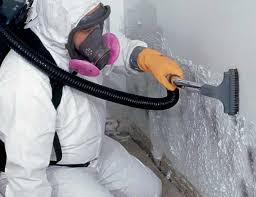 Biohazard Mold Removal in Mattituck, NY